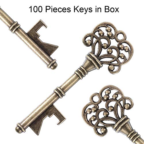 Jovitec 100 Set Apribottiglie Chiave Vintage Matrimonio Favorire Il Veleno del Ricordo Set Contenitore di Caramelle Cuscino Escort Grazie Tag Nastro Francese (Bronzo) - 7