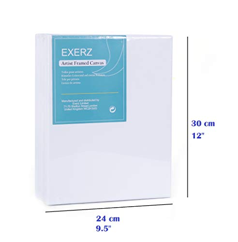 EXERZ Set da 5 tele per pittura/ tele d’artista intelaiate/ 30 x 24 cm 280GSM/ tele prestirate 100% Cotone/ Vuote / Triple Primed, tre strati di gesso/ Prive di acidi / Grana media/ spessore 1.7cm - 2