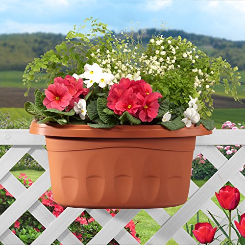 Bama 30230 Fioriera Klunia di 40 cm da balcone, Terracotta - 4