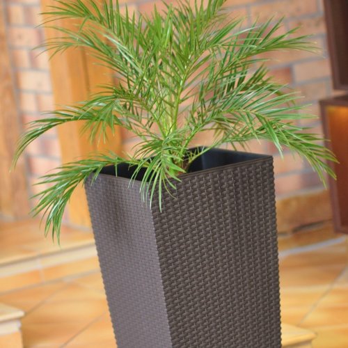 Terra 1405080100 - Vaso Rato in plastica con inserto e imitazione rattan, 60 cm, marrone - 5