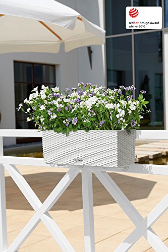 Lechuza Balconera 50 Cottage Set Completo, Vaso Fioriera in Resina per Piante, Bianco - 3