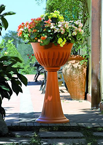 Bama 31904 Colonna Alba, Terracotta - 2