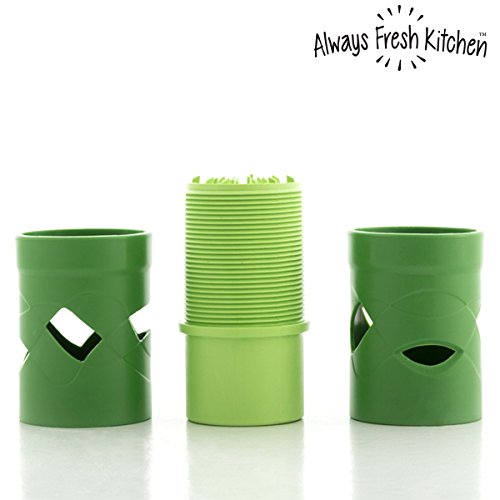 Always Fresh Kitchen Curly Veggies taglierina di verdure, verde, 5,5 x 6 x 15 cm - 2