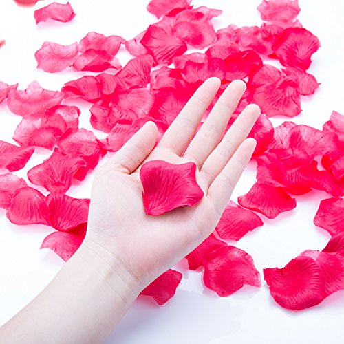 Petali di Rosa in Seta – Meersee 2000pcs Petali di Rosa in Seta in Colore Rosso Scuro per Decorazione di Matrimonio - 6